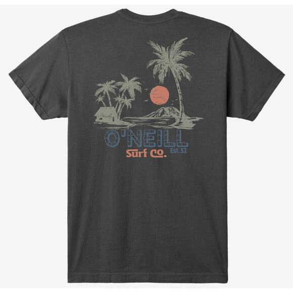 O'Neill Men's T-Shirt Hideaway Short Sleeve Crewneck Tee in Dark Charcoal - Picture 1 of 6